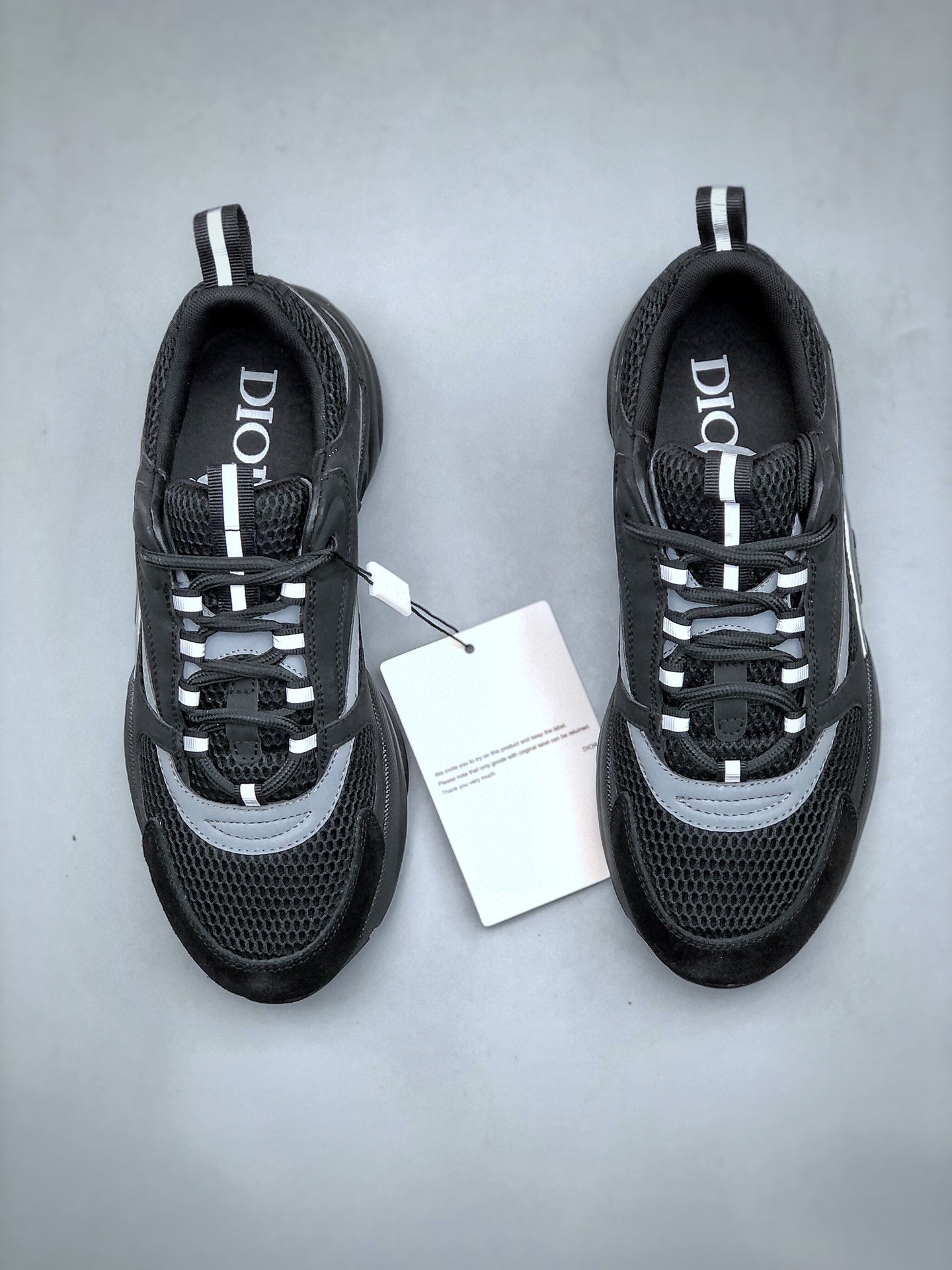 Dior B22