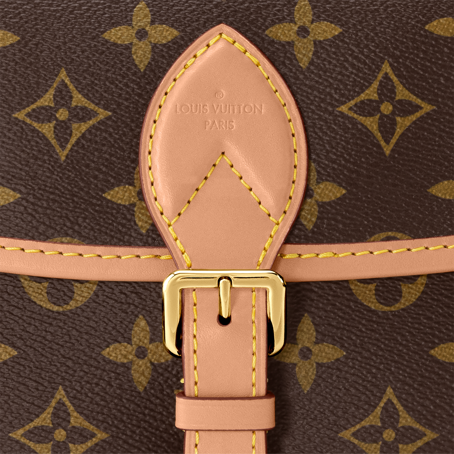 Louis Vuitton Diane Bag