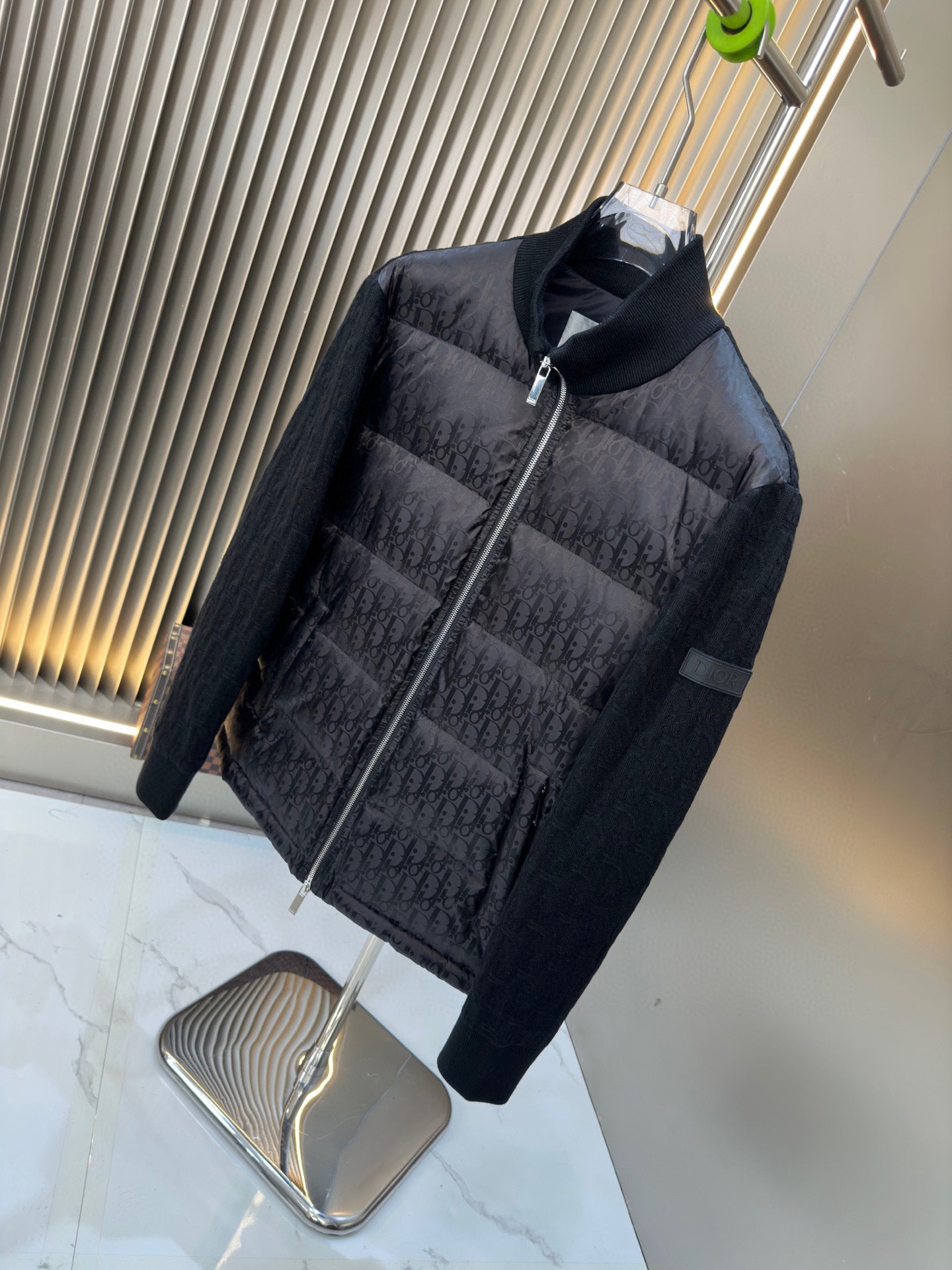 Dior Blouson Oblique ‘25 Donsjas