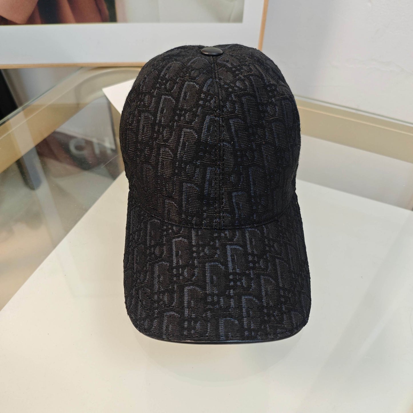 Dior Oblique Pet - Zwart