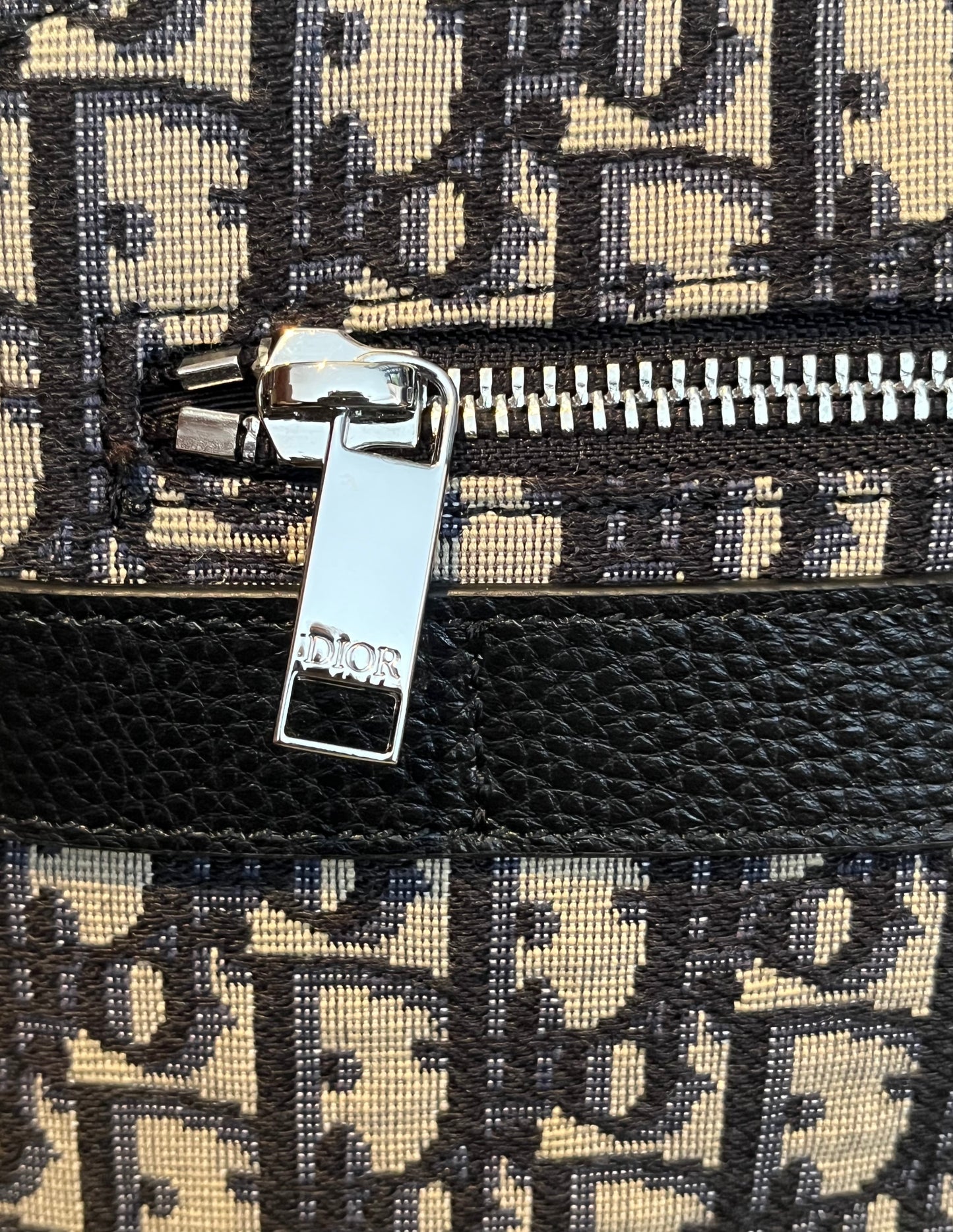 Dior Safari Bag