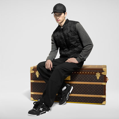 Louis Vuitton Skates