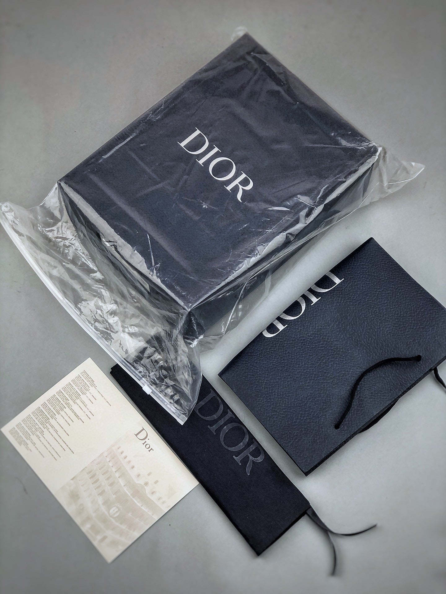 Dior B22