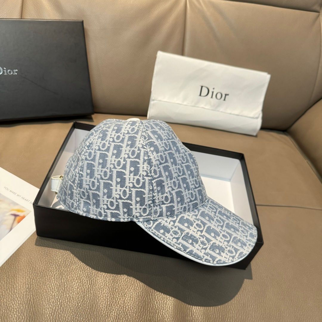 Dior Oblique Pet - Grey