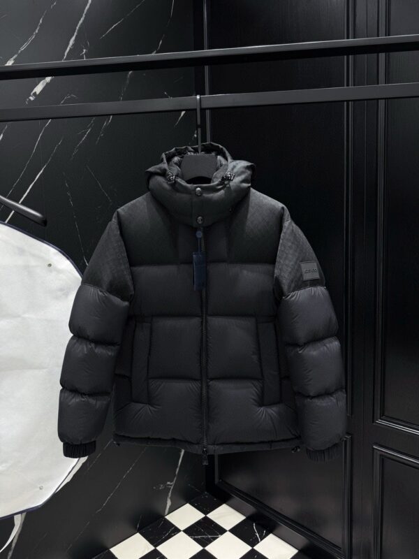 Louis Vuitton Coach Monogram Puffer Jacket