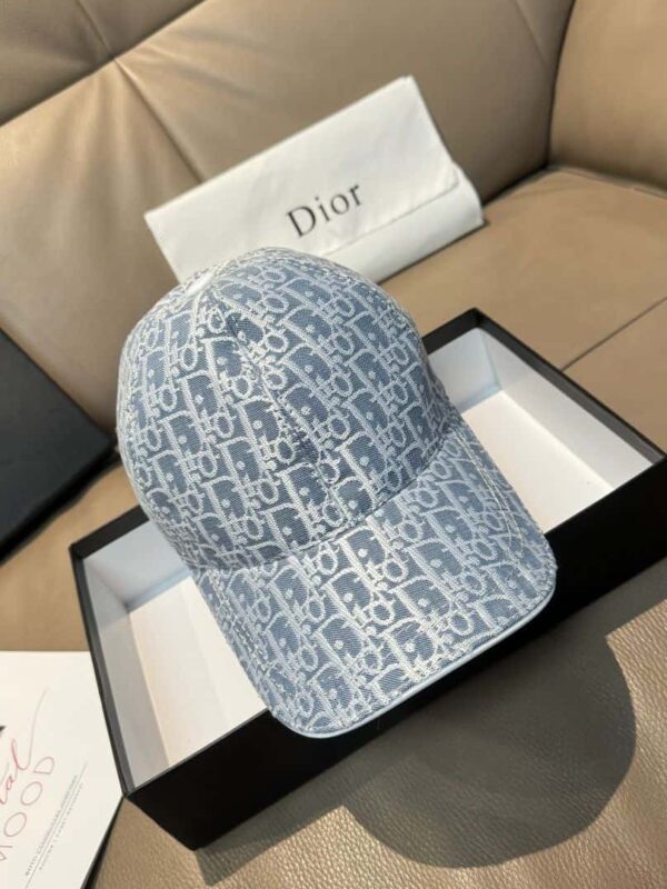 Dior Oblique Pet - Grey