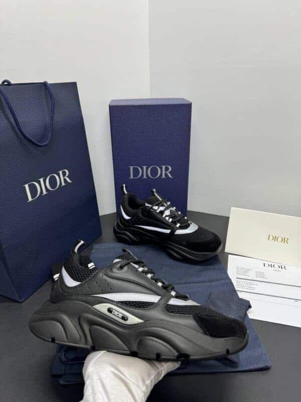 Dior B22