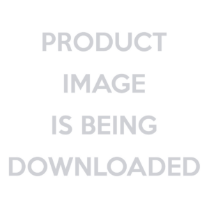 Louis Vuitton Travel Bag